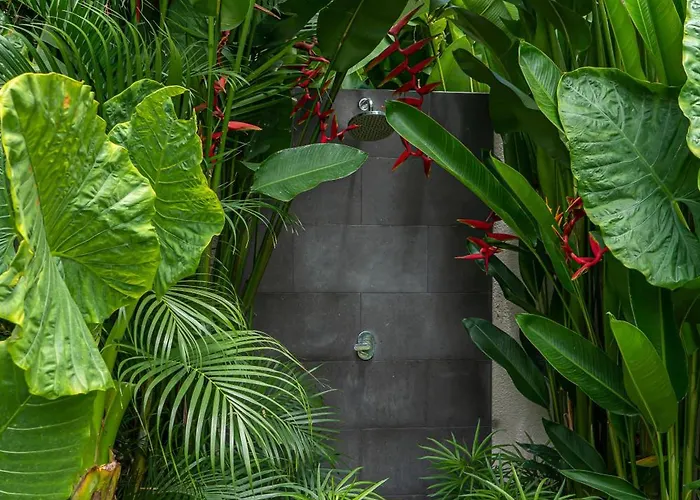 Tara Dharma - Sophisticated 3br Retreat In Tranquil Umalas * チャングー