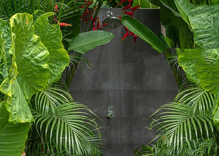 Tara Dharma - Sophisticated 3br Retreat In Tranquil Umalas * チャングー
